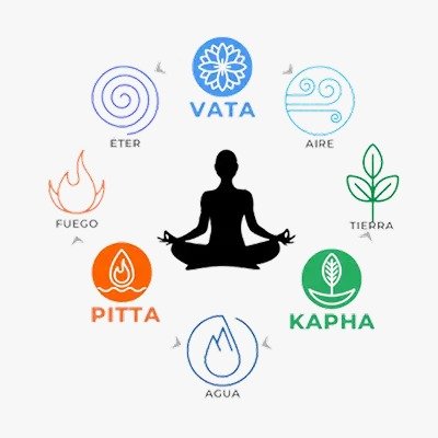 Ayurveda Body Types Illustration